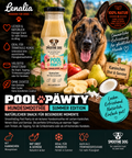 SmoothieDog Pool Pawty – Hundesmoothie mit Kaninchen, Obst & Gemüse 250 ml 1 Flasche