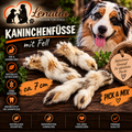 Kaninchenfüße mit Fell ca. 7 cm – natürlicher Kausnack aus 100 % Kaninchen 1 Stück