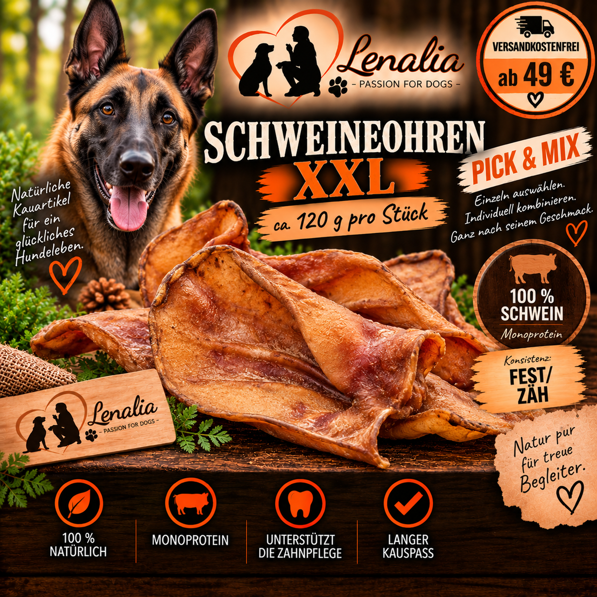 Schweineohren XXL – extra großer Kauartikel für Hunde