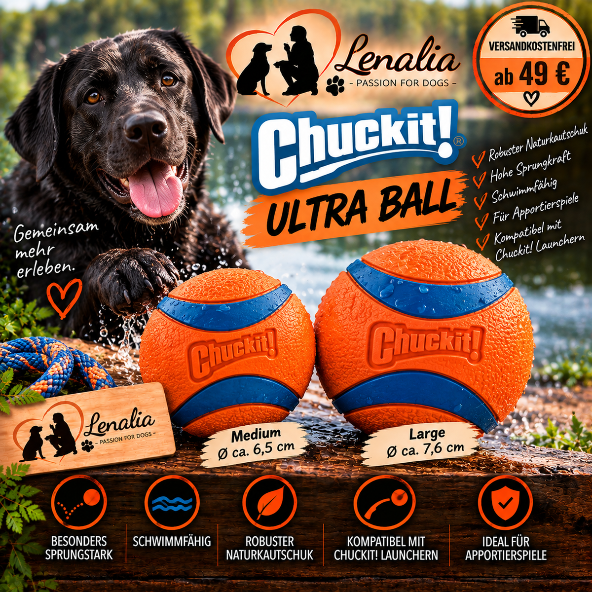 Chuckit! Ultra Ball – Hundeball Orange/Blau – Medium & Large