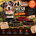 Petlando MESH Halsband – weich gepolstert & stufenlos verstellbar